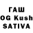Галлюциногенные грибы GOLDEN TEACHER Riyadh Firdauseh