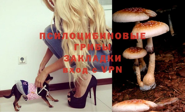 спайс Алексин