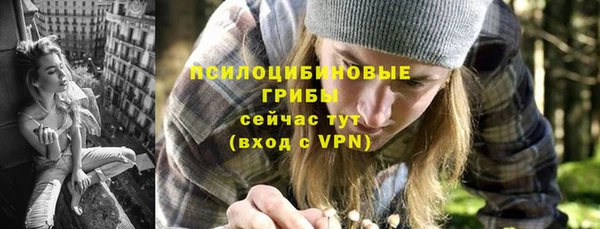 спайс Алексин