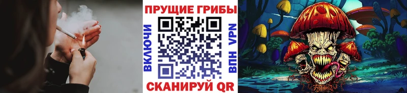 Псилоцибиновые грибы Psilocybine cubensis  Чебаркуль 